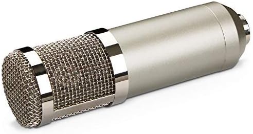 Condenser Recording Studio Micro for Broadcasting Cardioid Directional Picking Can Provide Clear Recording Effects Vocal Micros