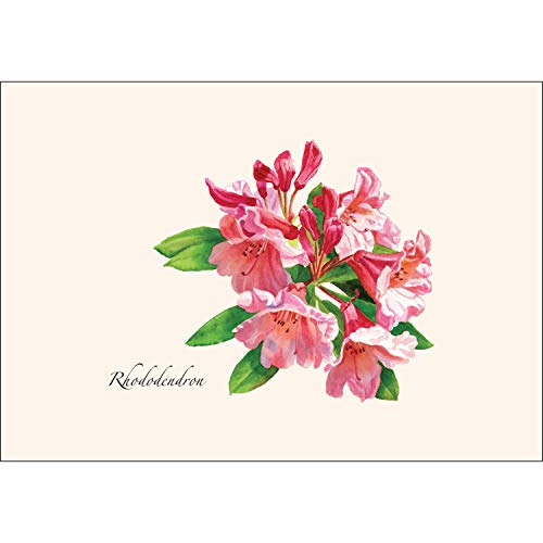 Image of Earth Sky + Water - Rhododendron Notecard Set - 8 Blank Cards with Envelopes