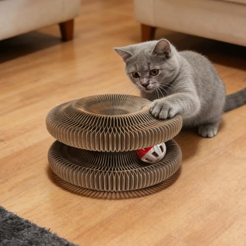 Jeux interactifs pour animaux de compagnie et chats pour le voyage en famille - 4
