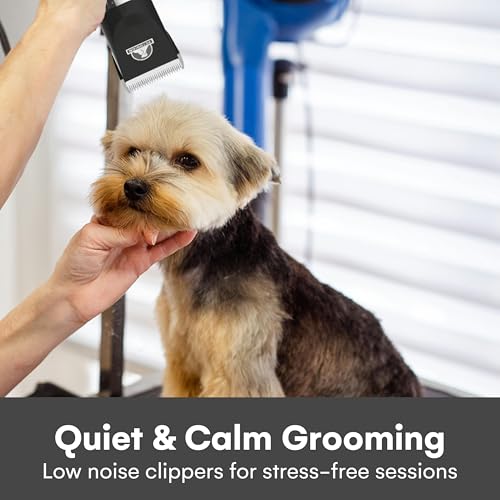 Pet Union Professional Dog Grooming Kit - Cordless Low Noise Dog Clippers for Grooming Thick Coats - All Pet Safe Cat Hair Trimmer - Pet Grooming Kit Includes Dog Hair Clippers, Nail Trimmer & Shears