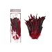Zucker Feather (TM) - Rooster Coque Tails-Chinchilla Red