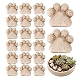 Placement rapide dans le jardin : ces pierres pour d'intérieur permettent un positionnement sans effort dans la zone, ce qui permet d'améliorer efficacement votre espace tout en gagnant du temps lors de l'installation pour un look soigné dans les salons ou les bureaux.