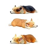 CHOP MALL Cute Corgi Fridge Magnets Sleeping Welsh Corgi Refrigerator Magnets Office Magnets Funny Magnet for Kitchen Fridge Decor Home