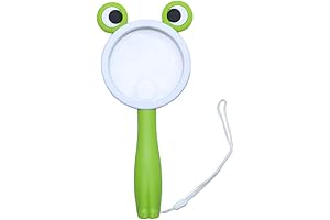 Frog Style Magnifying Glass for Curious Young Explorers