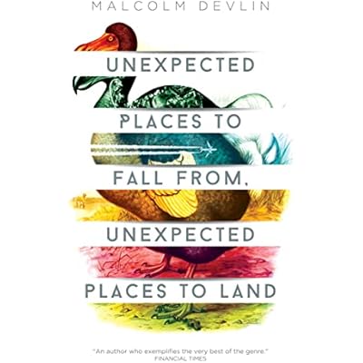 Unexpected Places to Fall From, Unexpected Places to Land