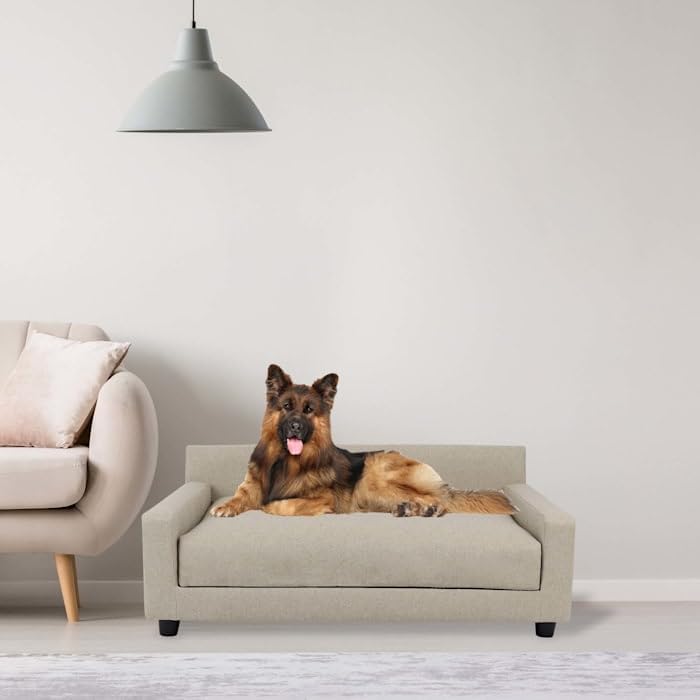 Club Nine Pets Unisex Metro Orthopedic Dog Bed - Large Oatmeal LG One Size