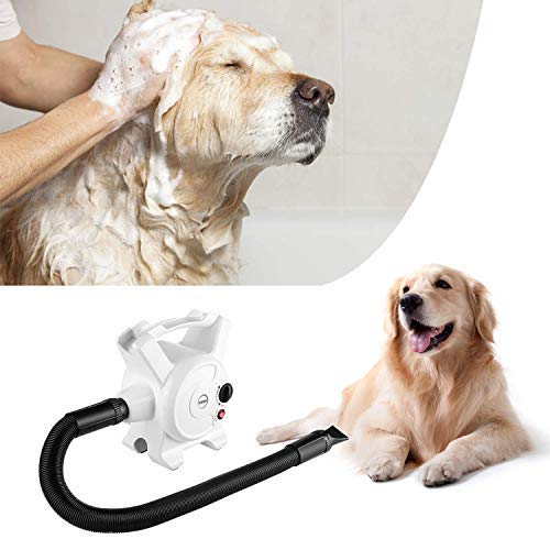 best dog dryer for golden retrievers