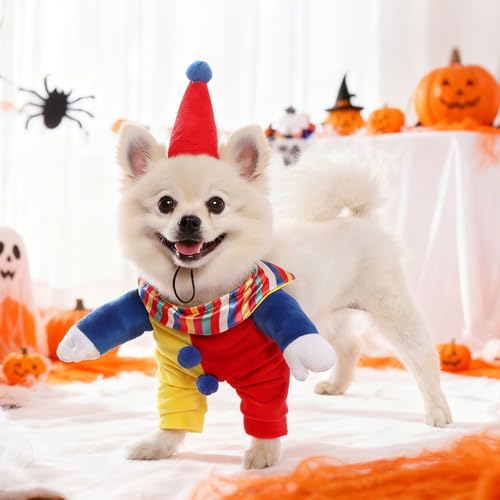 Disfraz de payaso para perro talla XL miniatura 3
