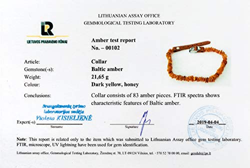 Amber Neck – Bernsteinhalsband für Hunde & andere Haustiere – Handgemacht aus echtem baltischen Bernstein – Echtes Leder – Verstellbar – Geschenkverpackung – Größen 40-45 cm