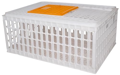 Beeketal 'GBB-1' Geflügel Transportbox mit Schiebetür und Transportgriffen - Transportkiste aus robustem Kunststoff zum Transport von Geflügel und Kleintieren - (L/B/H): ca. 730 x 540 x 320 mm