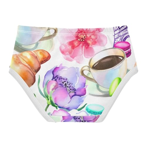 Fun Girls Underwear Toddlers 2t Cotton Panties Little Girl Watercolor Parisian Eiffel Tower Briefs Undies Kids2