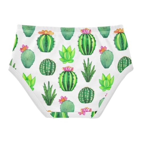 Animal Toddler Underwear Floral 2t Cotton Panties Little Girl Cacti Succulents White Undies Kids Briefs2