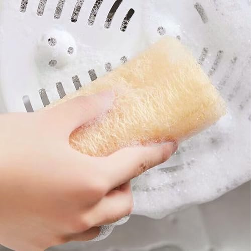 Natürlicher Luffa Schwamm 5 Stück, 12 cm Körperpeeling & Duschschwamm - Sanfter Exfoliator für Gesicht und Körper, Ideal auch als Robustes Spültuch für Küche