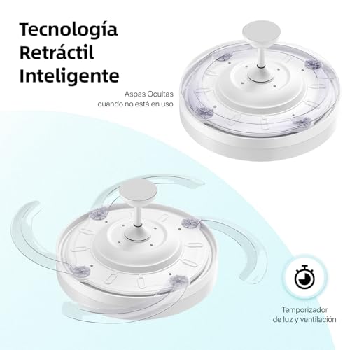 Miniatura 4 de 