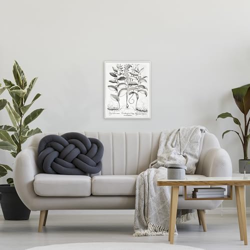 Poster botanique vintage blanc 50x40 cm Stupell Industries encadré - 3