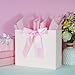 Elegant Pink Gift Bag 11.8