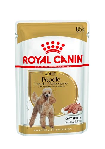 Royal Canin - Breed Health Nutrition Dachshund Adult, 12x85g