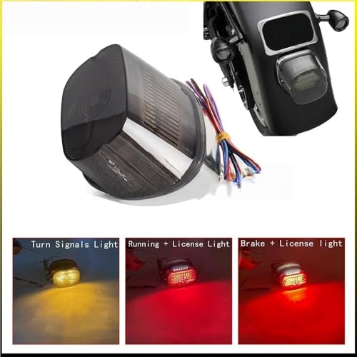 Freno en funcionamiento y luces traseras con acabado premium para modelos FLSTF 2