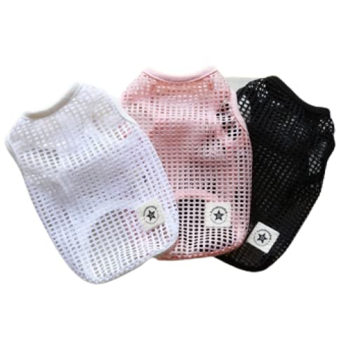 ykamakuradog qhbOzhCbV^N  ̕ ybg hbOEFA (M, ubN)