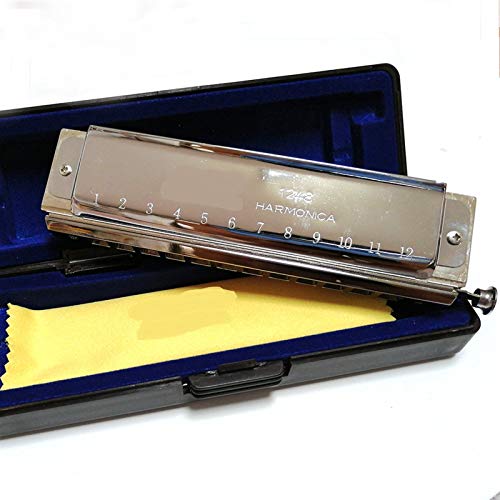 KIRANDIE 12 Trous Chromatique Harmonica Bouche d’orgue Instrumental clés de C Instruments de Musique Place… - Les Beatles, Paul McCartney, John Lennon, RIngo Starr, George Harrison KIRANDIE 12 Trous Chromatique Harmonica Bouche d'orgue Instrumental clés de C Instruments de Musique Place… – Image 5