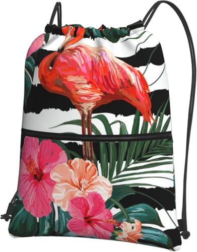 [ESASAV] V  t~S ibvTbN TbNpbN ̑ j̎q ̎q В ̑ w ւ 傫