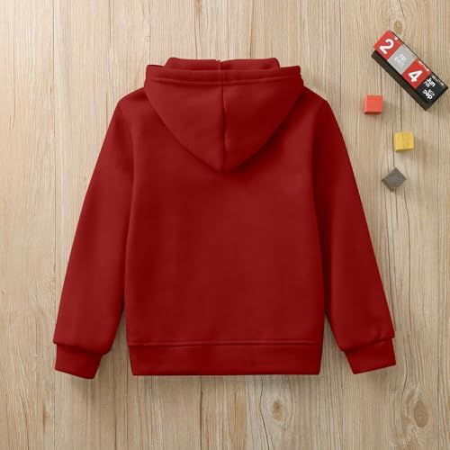 Toddler Baby Boys 2 Piece Sweatsuit Little Girls Fleece Hooded Tracksuit Kids Jogging Sweatshirt Set Infant Trendy4