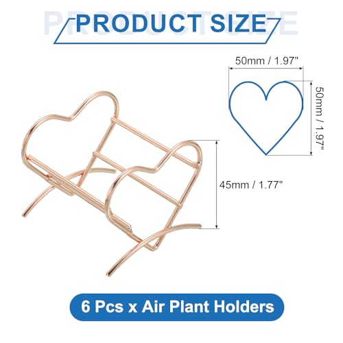 Support de séchage pour plantes à air et éponge de maquillage - 3