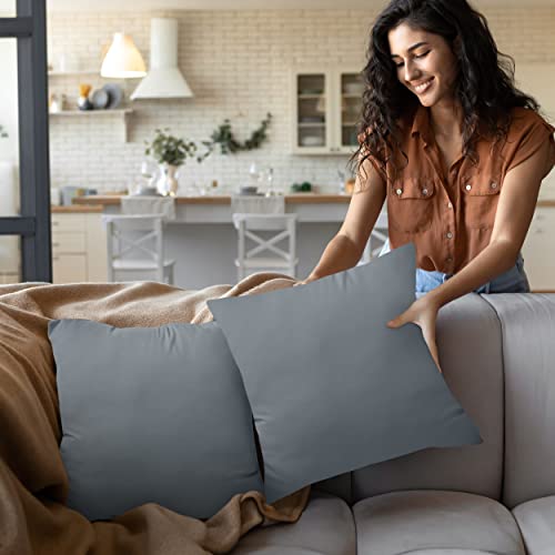 image for Utopia Bedding Throw Pillows Insert (Pack of 2, Grey) - 16 x 16 Inches