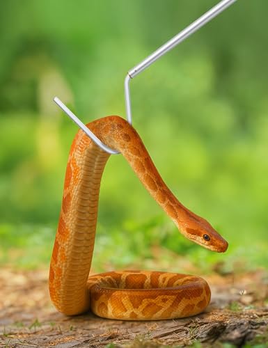 LURMMUE Gancho de cobra de 101,6 cm – Bastão telescópico de aço inoxidável para apanhar répteis e fe
