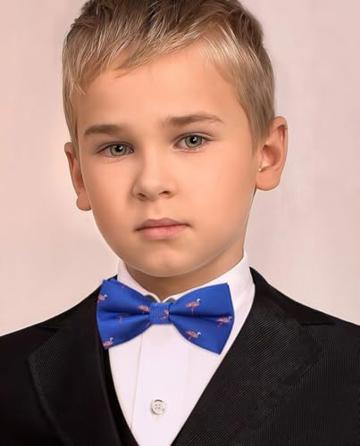 Image of HISDERN Bow Ties for Boys Pre Tied Toddler Bow Tie Adjustable Kids Bowties Clip On Fun Patterned Bowties for Wedding Party