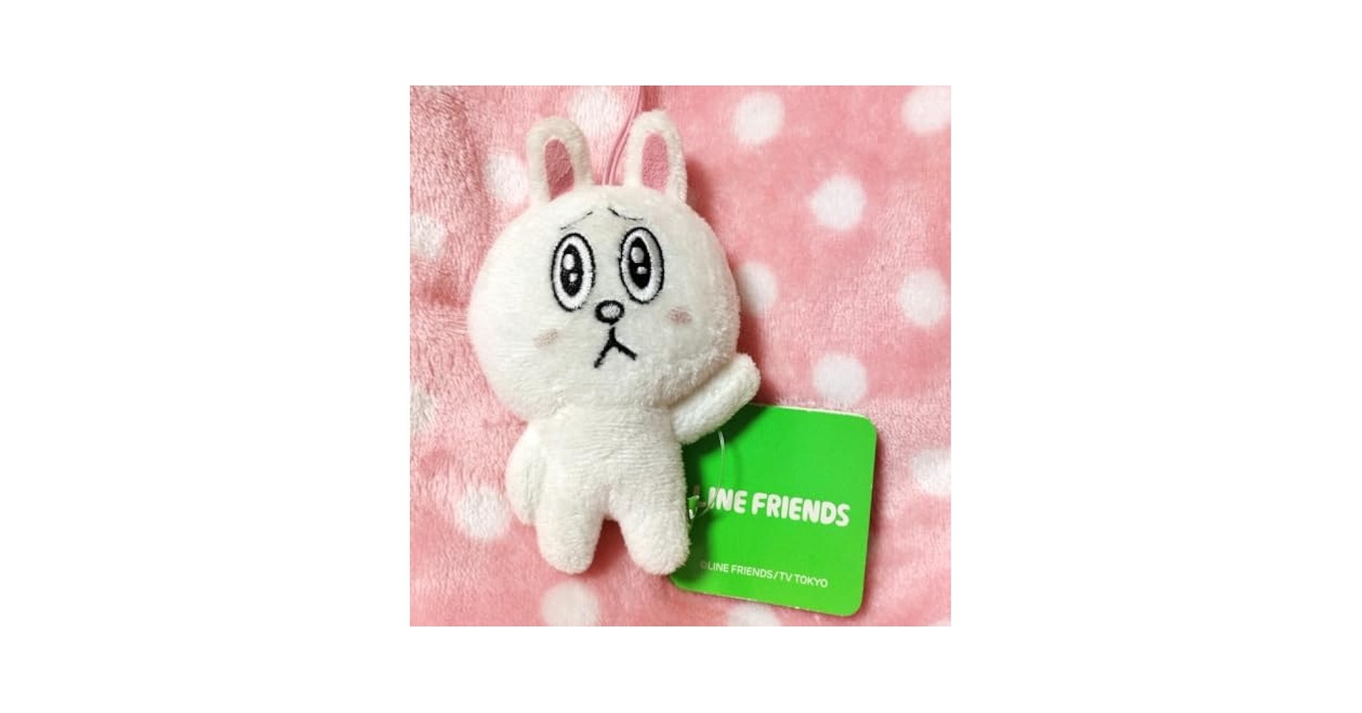 【レア】コニー おねだり BIG ぬいぐるみ LINE FRIENDS LINEフレンズ ブラウン＆コニーBIGぬいぐるみ｜Yahoo!フリマ（旧