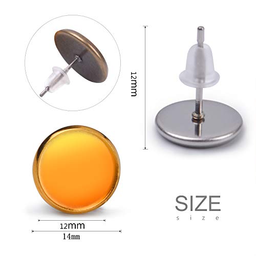 Bronagrand 30 Pieces Stainless Steel Stud Earring Cabochon Setting Post Cup For 12Mm And 30 Pieces Clear Rubber Earring Safety Backs #TOP3
