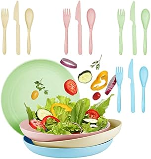 Dinner Plates, 16 Pack Dinner Plates Set, Flat Salad Dessert Breakfast Party Plates for Kids, Children, Adult, Picnic, Camping & BBQ, Dishwasher