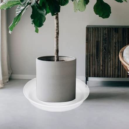 Bleuhome 6 Pack Plant Saucer Tray, 4 5 6 8 10 12 13 15 17 19 Inch Plant Saucers, Heavy Duty Plastic Plant Drip Trays For Indoors, Flower Plant Water Tray, Plant Trays For Pots Base (6 Inch, Clear) #TOP6