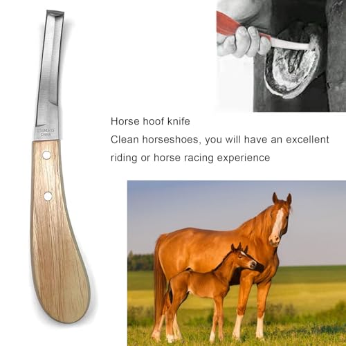Image of 14 Inch Horse Farrier Tool Kits,7 Piece Professional Hoof Trimming Kit with Hoof Nippers, Rasp, Shear Cutter, Hoof Knife, Pick, Gloves, Storage Bag, for Horse Goat Pig Hoof Care