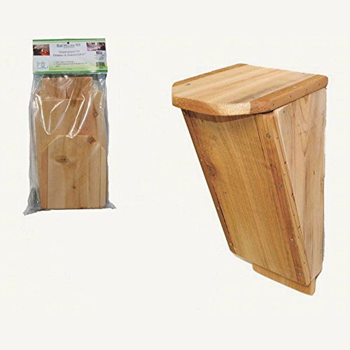 Songbird Essentials SESC00610 Bat House Kit