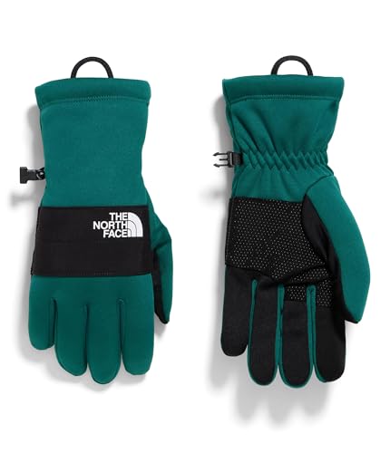 THE NORTH FACE gant polaire Sierra Etip homme XXL