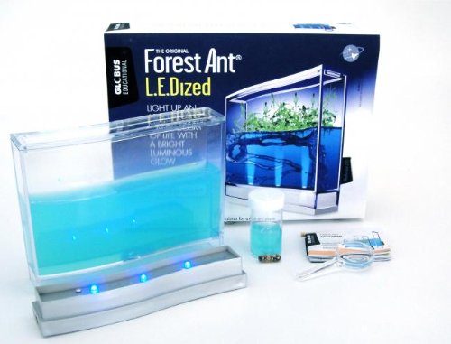 AntHouse Hormiguero de Gel Azul con LUZ y Semillas (Hormigas Incluidas Gratis)