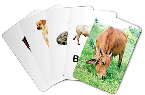Image of ZiGYASAW Wild Animals Flash Cards for Kids Early Learning I 20 Real Image Flash Cards for Babies 3 Months to 6 Years I Easy & Fun Way of Learning | Brain Development Study Material For Preschoolers