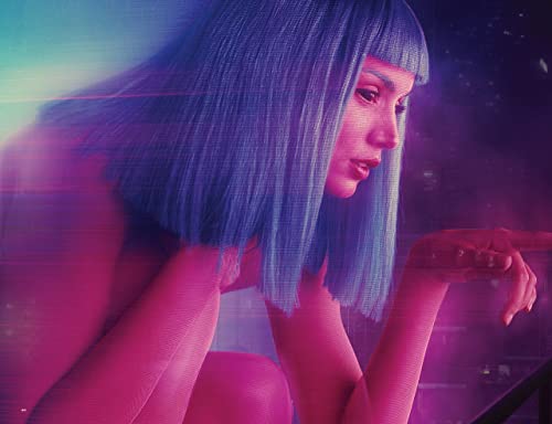Image of The Art and Soul of Blade Runner 2049 - Revised and Expanded Edition
