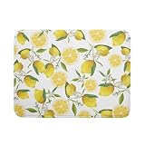 Lemon Drying Mats for Kitchen Counter 18×24 Inch Large Drying Mat for Dishes Yellow Lemon Kitchen Decor Accessories Watercolor Microfiber Dish mat Rack Mat Drainer Pad Washable Absorbent Dry Mat