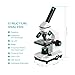Aomekie Biological Compound Microscope for Adults Kids 40X-2000X Magnification,Lab Compound Monocular Microscope Kit with Slides Dual Led Light and Phone Adapter
