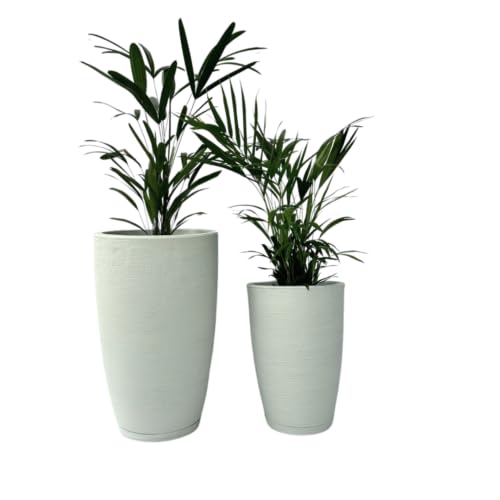 Kit de Cone para Vaso de Planta para Uso Interno/Externo