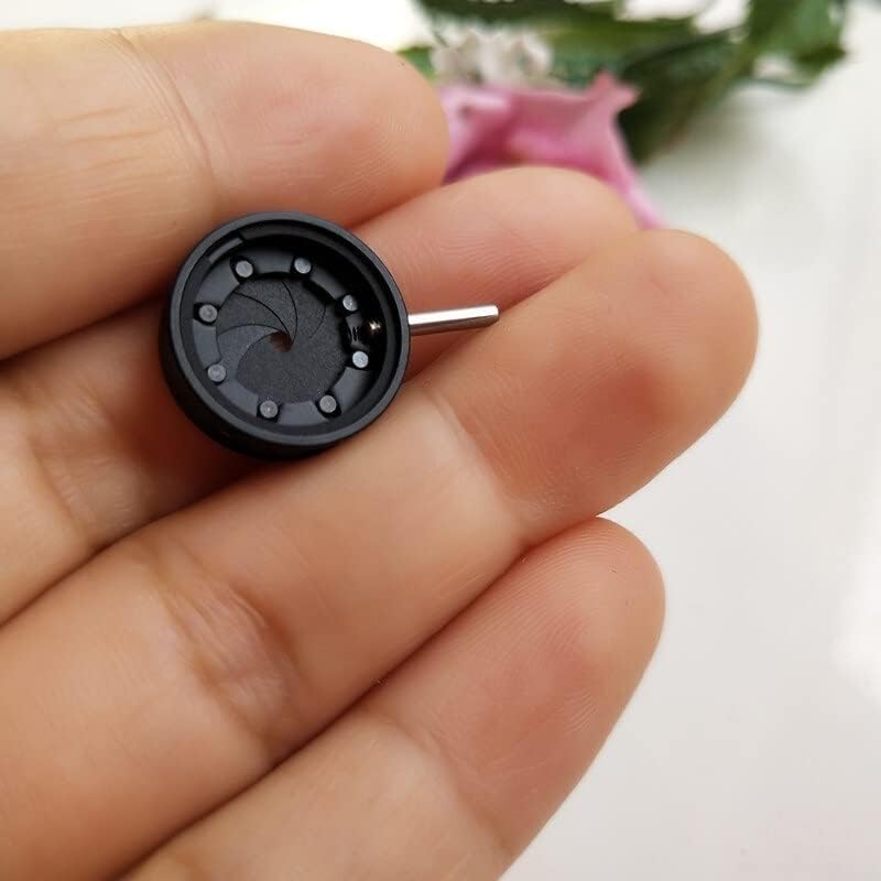 かとうゆみ 陶芸 【公式通販】 かとうゆみさんのライオンの陶器置物