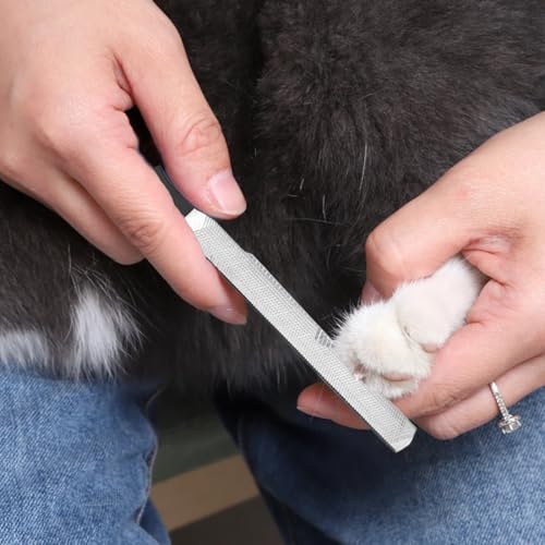 RAMGLYO Zehennagelfeilen für dicke Nägel, professionelle 4-seitige Nagelfeile, Edelstahl, Nagelpflege, Maniküre, Pediküre, Werkzeug für Männer, Senioren, Hunde, 2 Stück