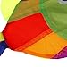 Leefasy Windsock Kite Windsock Colorful Polyester Kids Toy, Kite Accessories, Decorative Wind Sock for Outdoor