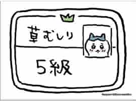 Amazon | ブシロード スリーブコレクション ハイグレード Vol