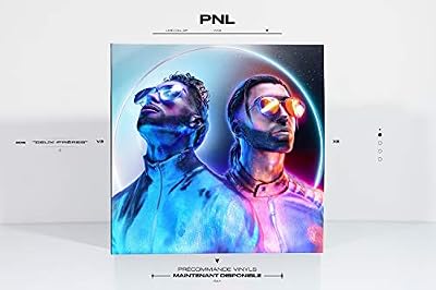 Portada del vinilo Deux Frères de Pnl
