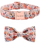 Unique style paws Dog Collar Bow tie Collar Adjustable Collars for Dogs and Cats Small Medium Large