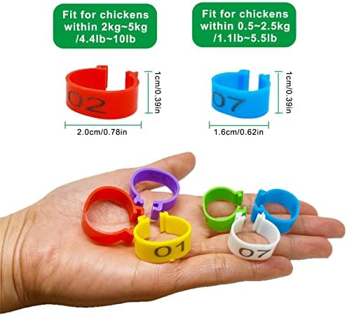 Mivofun 60PCS Numbered Chicken Leg Rings, 16 mm, 20 mm 6 Color 2 Sizes Clip-on Plastic Round Identificaiton Tags Foot Loop Band, for Ducks, Seafige, Goose Wild Poultry, Turkeys - 2